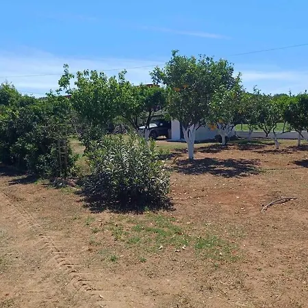 Σπίτι διακοπών Sofia's Yard House