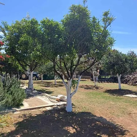 Sofia's Yard House *