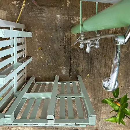 Sofia's Yard House *