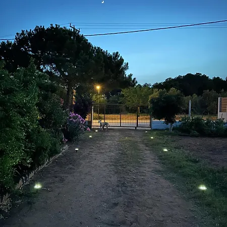 Hébergement de vacances Sofia's Yard House