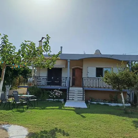 Sofia's Yard House *