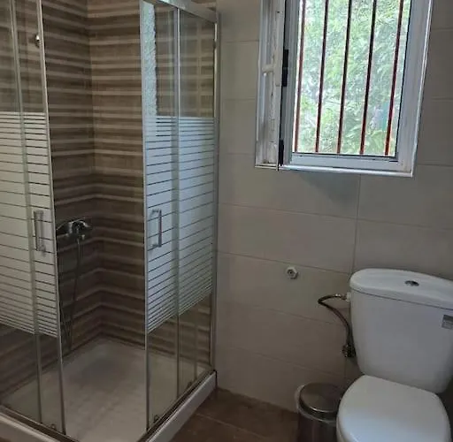 Sofia's Yard House *