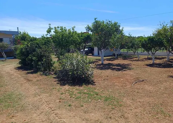 Casa de Férias Sofia's Yard House