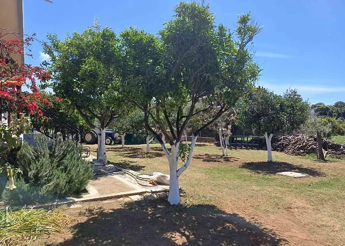 Sofia's Yard House *